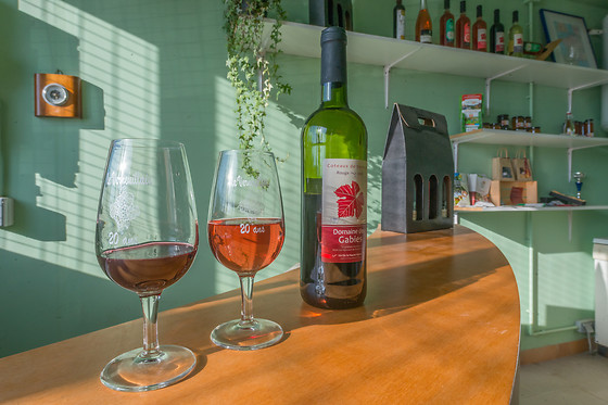 Dégustation vins aux Vignerons de Verneuil à Verneuil-sur-Vienne (87)