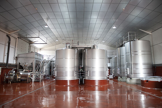 BODEGAS VIYUELA - photo 7