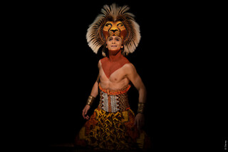 Le Roi Lion - 1 Place