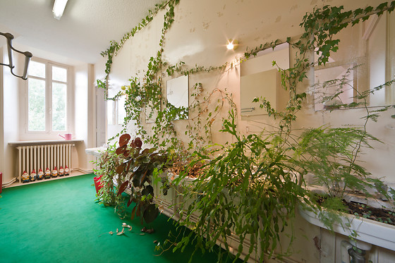 Le Jardin d'Hélys - photo 19