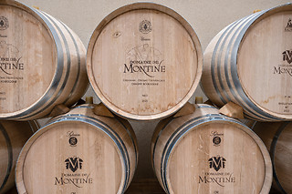 Dégustation de vin pour 2 au Domaine de Montine à Grignan (26)