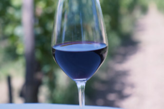 Un atelier d'œnologie à L.O Wine à Petit-Palais-et-Cornemps (33)