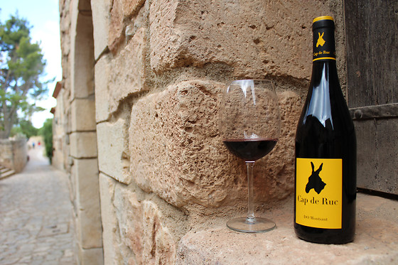 CELLER RONADELLES - photo 1