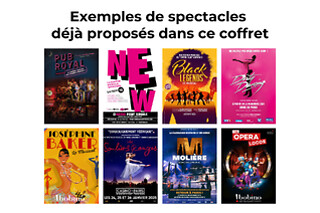 Comédies Musicales à Paris en duo