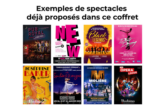 Comédies Musicales à Paris en duo
