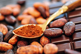 Max Vauché