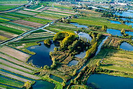 O marais