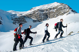 Bureau Montagne Mélézin - GEC