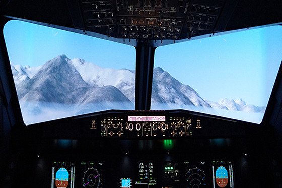 FLIGHT in PARIS - photo 1