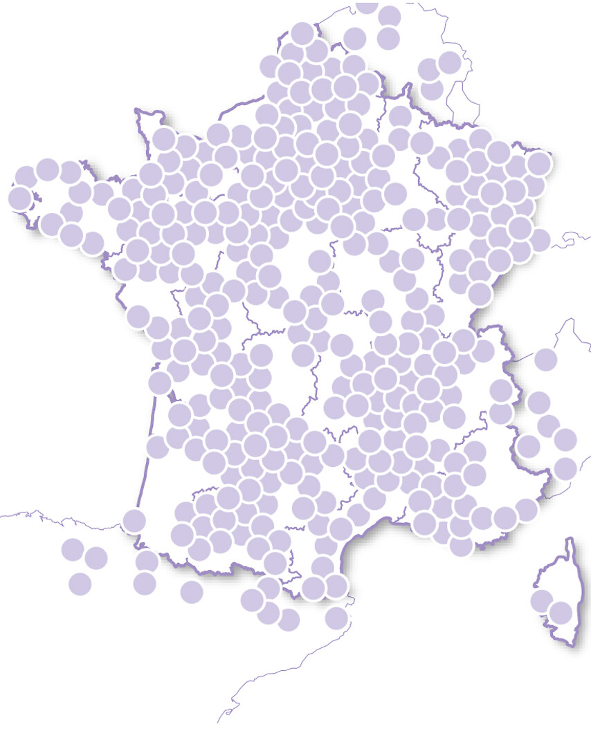 Félicitations aux mariés Rêve