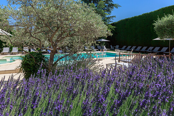 Auberge de Cassagne***** - photo 28