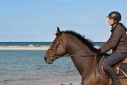 Sables d'Or Equitation