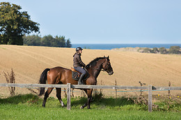 Sables d'Or Equitation