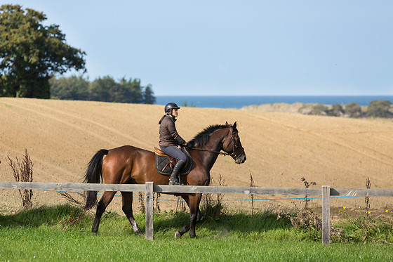 Sables d'Or Equitation - photo 2