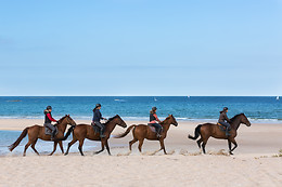 Sables d'Or Equitation