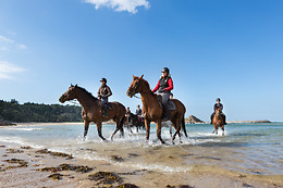Sables d'Or Equitation