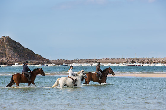 Sables d'Or Equitation - photo 13