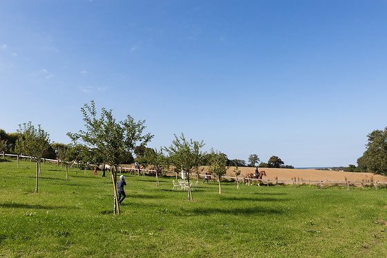 Sables d'Or Equitation - photo 15