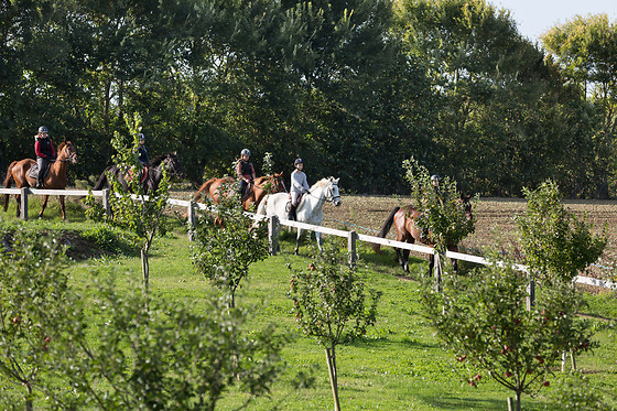 Sables d'Or Equitation - photo 3