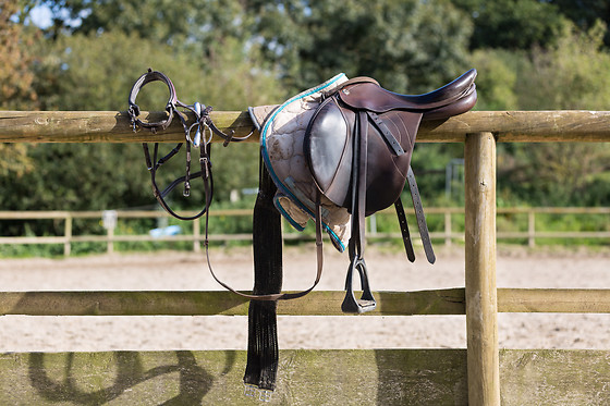 Sables d'Or Equitation - photo 16
