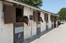 Sables d'Or Equitation