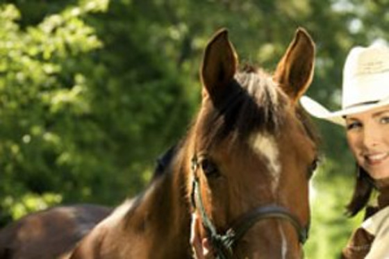 Centre Equestre les Onglous - photo 6