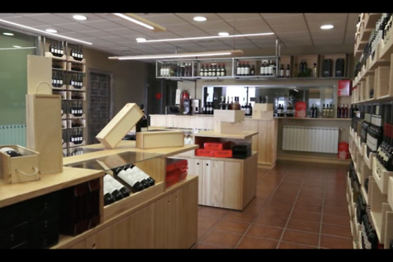 VILE LA FINCA - photo 16