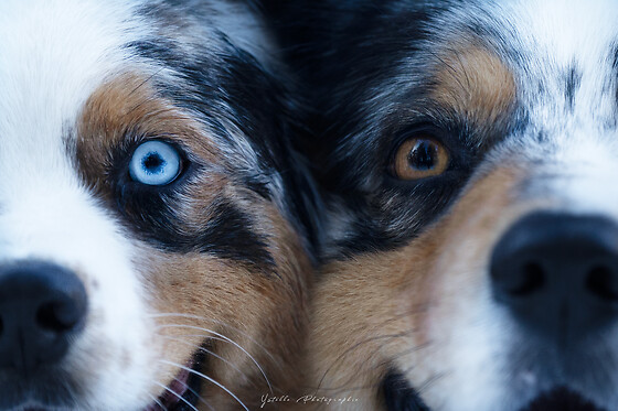 ystelle photographie - photo 7