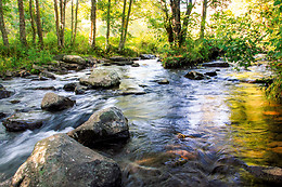 Les Rives de lArzon