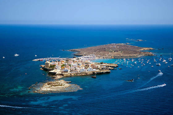 SCUBA ELX - photo 5