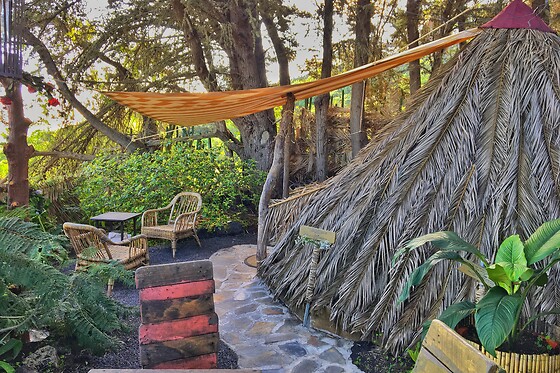 STUDIO MAZO THE GLAMPING - photo 3
