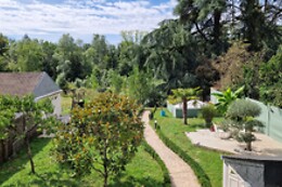 Les Tilleuls