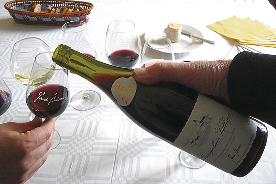 Domaine Brisson - photo 1