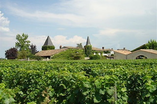 Initiation à l'œnologie pour 2 avec Œnanim à Saint-Émilion (33)