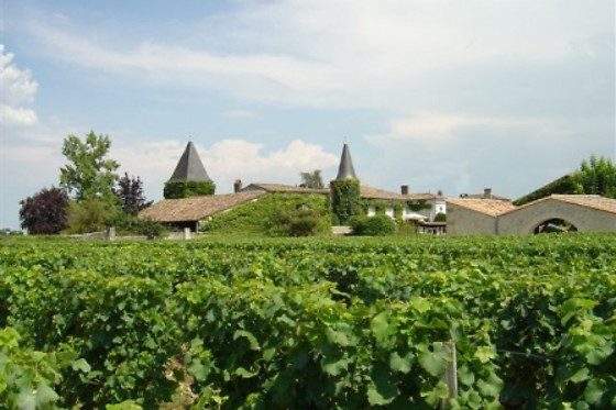 Initiation à l'œnologie pour 2 avec Œnanim à Saint-Émilion (33)