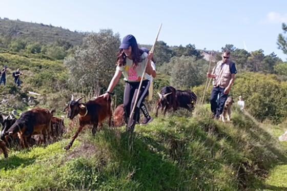 Terra Chã - photo 3