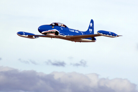 Vol en avion de chasse L-39 - MiGFlug (Suisse)