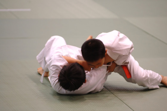 BOWGYM - photo 9