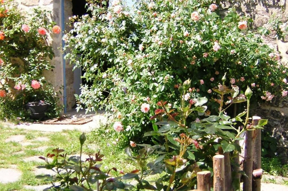 MAS CASTA NÉA - photo 11