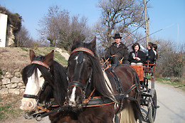 Poney  Express Attelage