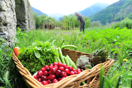 Volders Bieren - photo 0