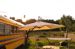 The School Bus