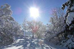 Bureau Montagne Mélézin - GEC