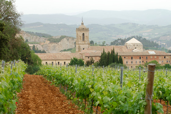 BODEGAS PAGO DE LARRAINZAR - photo 8