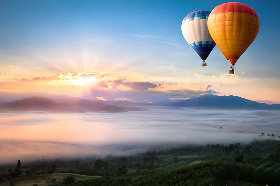 GLOBOS BOREAL - photo 0