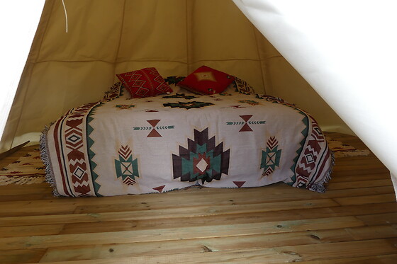 Le Voyage de l'Arbre à Lire - photo 1