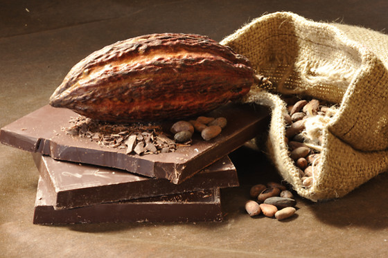 Un atelier chocolat chez À la Reine Astrid à Savigny-sur-Orge (91)