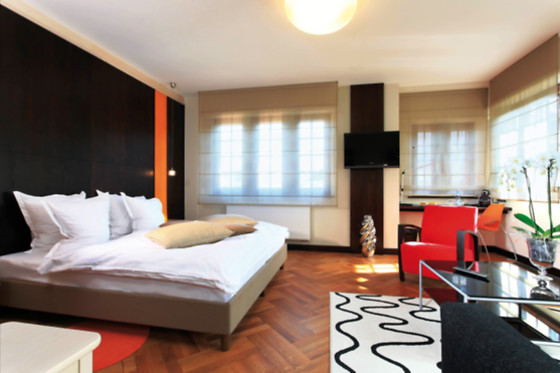Le Cerf - photo 6