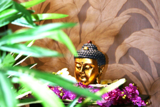 HOSPEDERIA TIA MARIA - photo 11