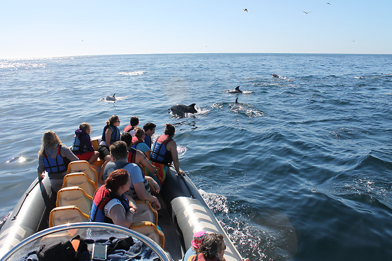 Beach Hut Water Sports - photo 9